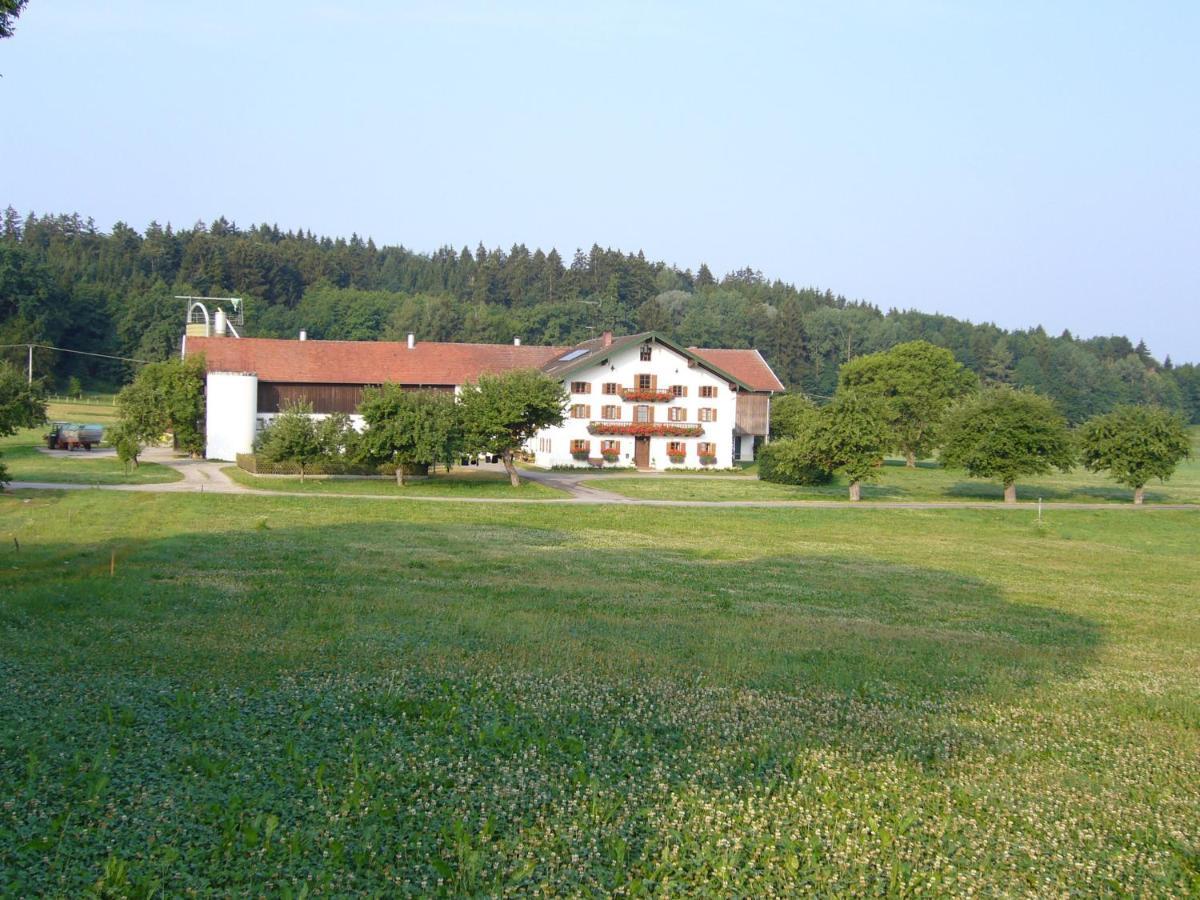 Вилла Lohnerhof Kirchanschoring Экстерьер фото